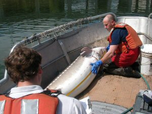 Fishery Biologists