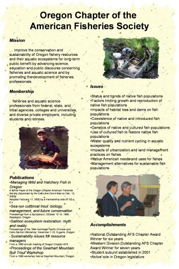Chapter Poster Panel 1, click for full size